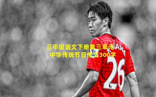 三年级语文下册第三单元中华传统节日作文300字