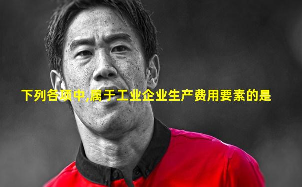 下列各项中,属于工业企业生产费用要素的是
