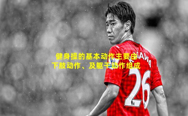 健身操的基本动作主要由下肢动作、及躯干动作组成