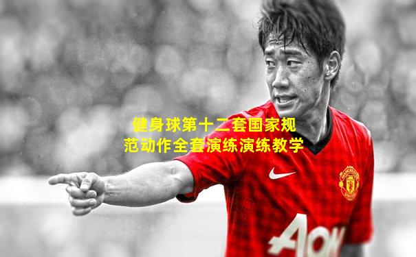 健身球第十二套国家规范动作全套演练演练教学