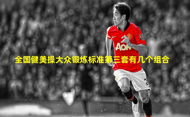 全国健美操大众锻炼标准第三套有几个组合
