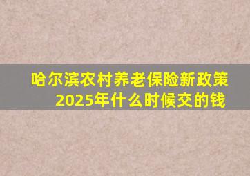 哈尔滨农村养老保险新政策2025年什么时候交的钱