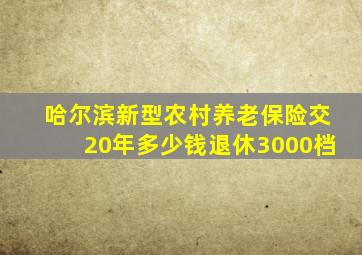 哈尔滨新型农村养老保险交20年多少钱退休3000档