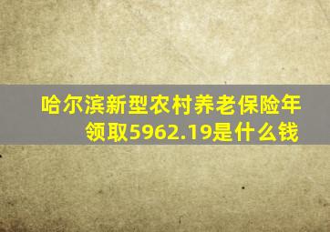 哈尔滨新型农村养老保险年领取5962.19是什么钱