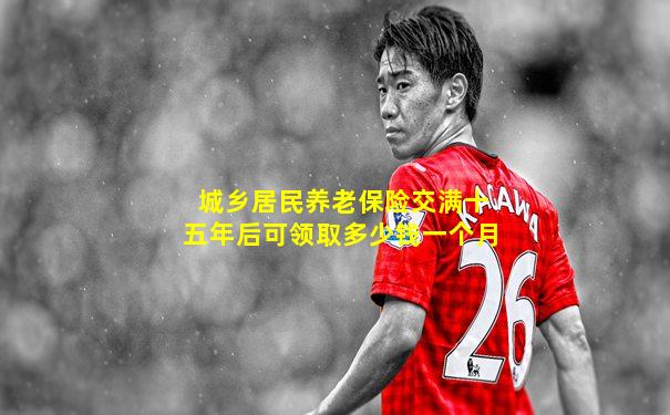 城乡居民养老保险交满十五年后可领取多少钱一个月