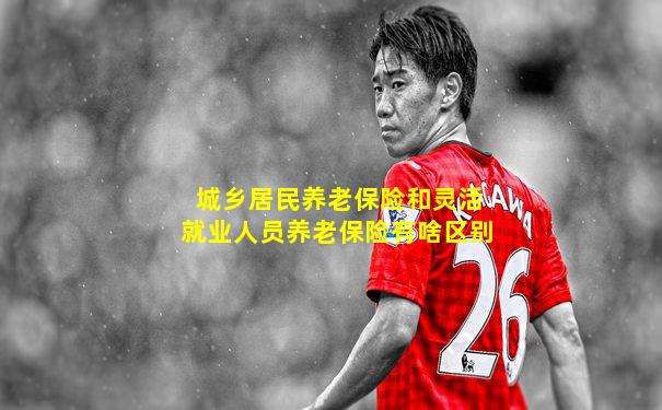 城乡居民养老保险和灵活就业人员养老保险有啥区别