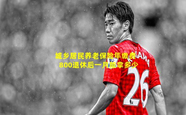 城乡居民养老保险年缴费800退休后一月能拿多少
