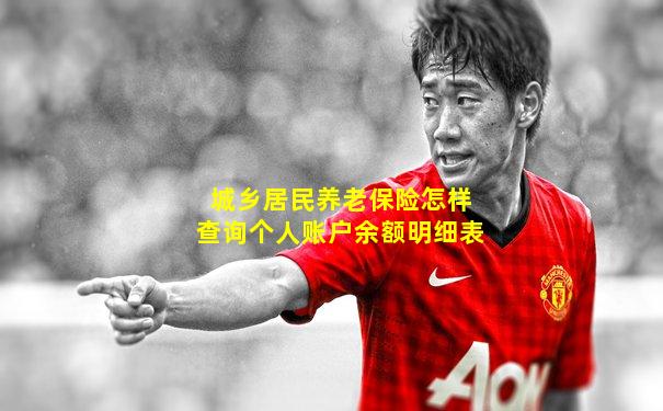 城乡居民养老保险怎样查询个人账户余额明细表