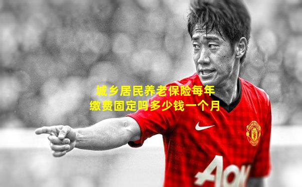 城乡居民养老保险每年缴费固定吗多少钱一个月