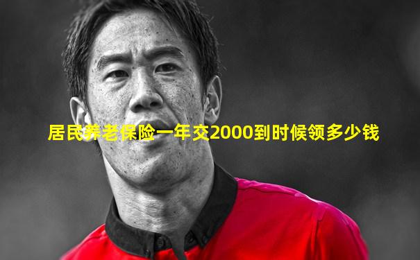 居民养老保险一年交2000到时候领多少钱