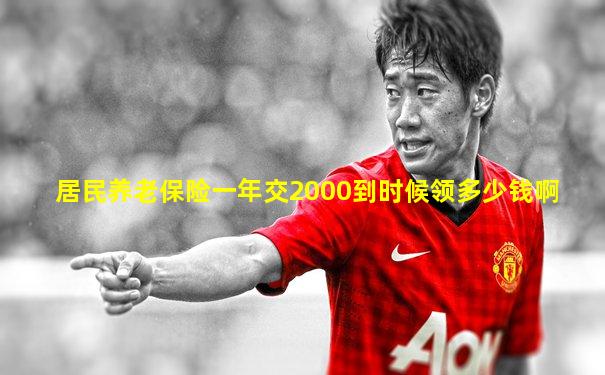 居民养老保险一年交2000到时候领多少钱啊