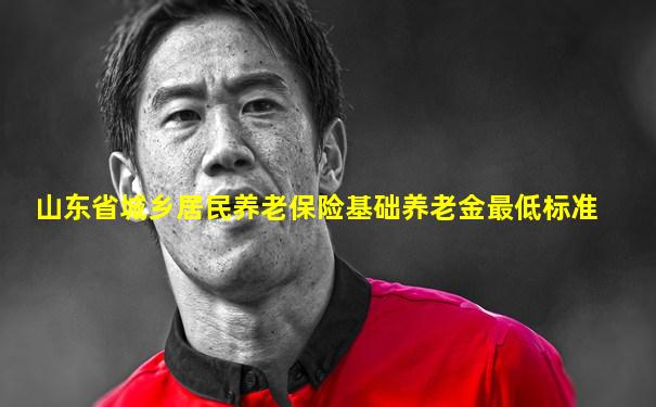 山东省城乡居民养老保险基础养老金最低标准