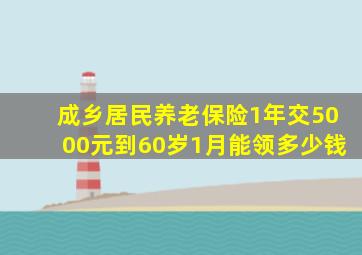 成乡居民养老保险1年交5000元到60岁1月能领多少钱