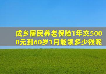 成乡居民养老保险1年交5000元到60岁1月能领多少钱呢