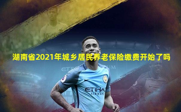湖南省2021年城乡居民养老保险缴费开始了吗