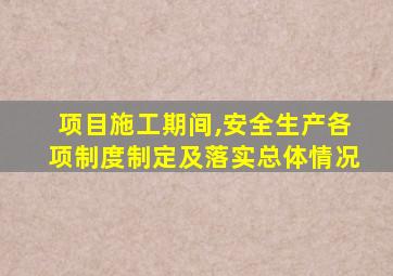 项目施工期间,安全生产各项制度制定及落实总体情况