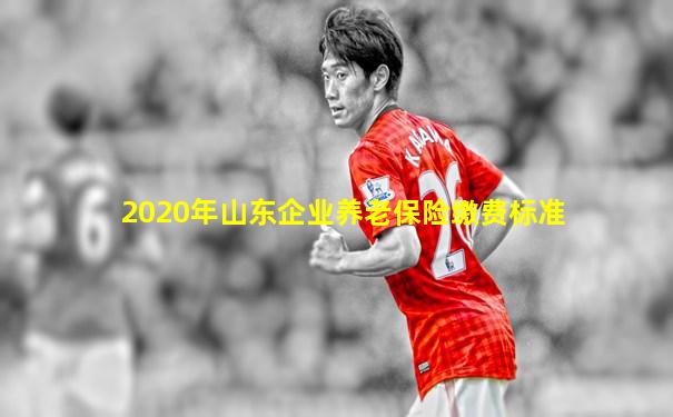2020年山东企业养老保险缴费标准