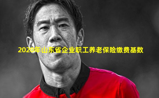 2020年山东省企业职工养老保险缴费基数