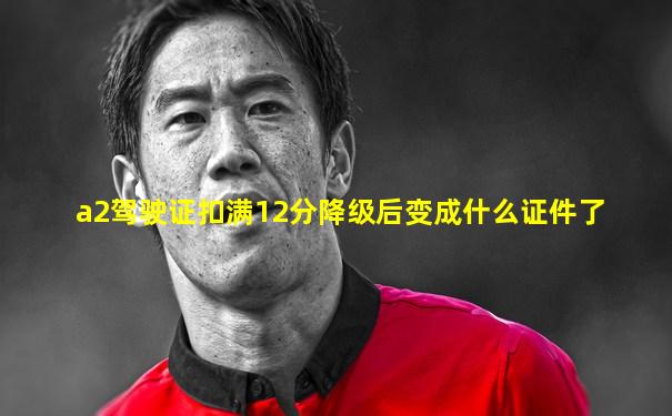 a2驾驶证扣满12分降级后变成什么证件了