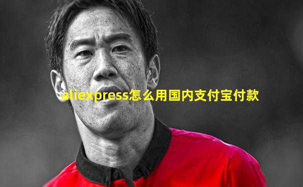 aliexpress怎么用国内支付宝付款