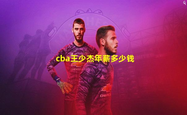cba王少杰年薪多少钱