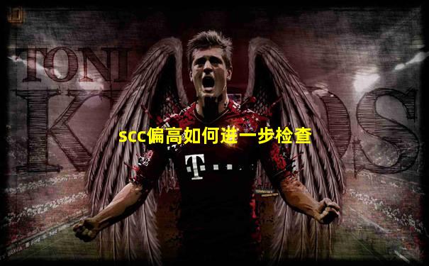 scc偏高如何进一步检查