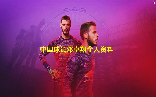中国球员邓卓翔个人资料
