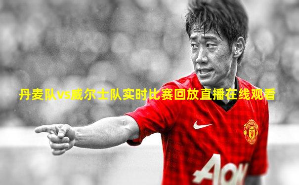丹麦队vs威尔士队实时比赛回放直播在线观看