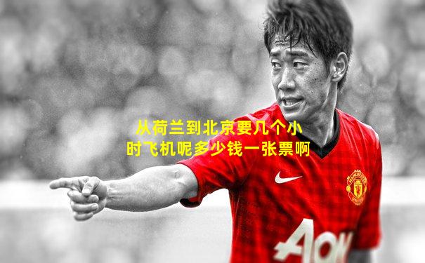 从荷兰到北京要几个小时飞机呢多少钱一张票啊
