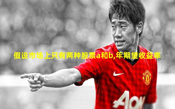 假设市场上只有两种股票a和b,年期望收益率