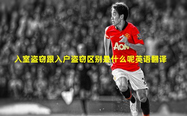 入室盗窃跟入户盗窃区别是什么呢英语翻译