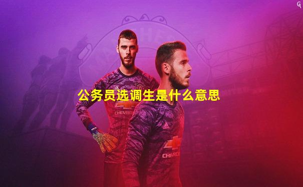 公务员选调生是什么意思