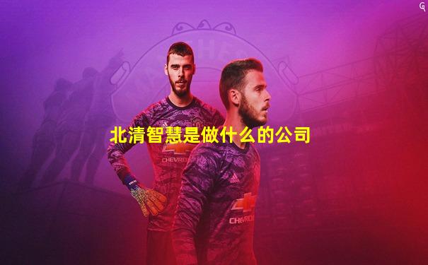 北清智慧是做什么的公司