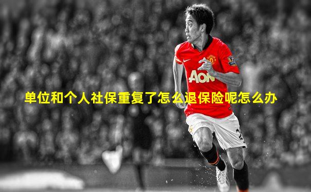 单位和个人社保重复了怎么退保险呢怎么办