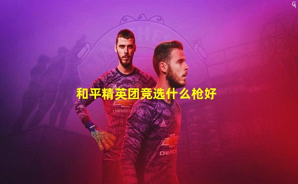 和平精英团竞选什么枪好