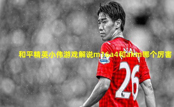 和平精英小伟游戏解说m16a4和akm哪个厉害