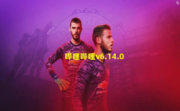 哔哩哔哩v6.14.0