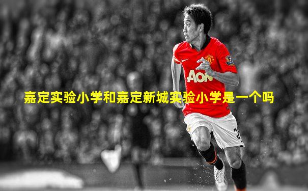 嘉定实验小学和嘉定新城实验小学是一个吗