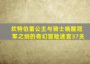 坎特伯雷公主与骑士唤醒冠军之剑的奇幻冒险迷宫37关