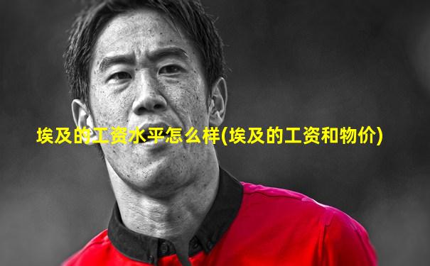 埃及的工资水平怎么样(埃及的工资和物价)