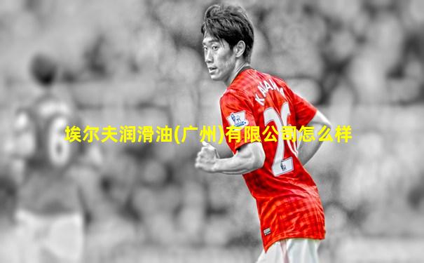埃尔夫润滑油(广州)有限公司怎么样