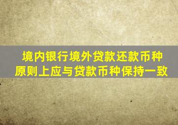 境内银行境外贷款还款币种原则上应与贷款币种保持一致