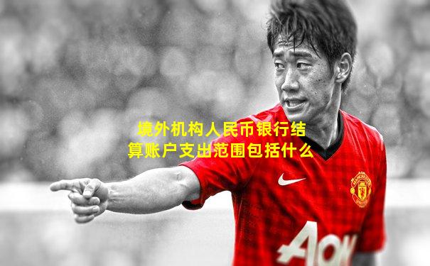 境外机构人民币银行结算账户支出范围包括什么
