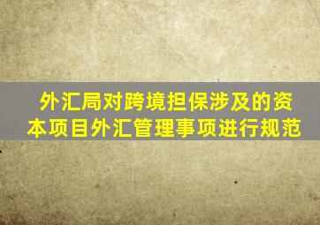 外汇局对跨境担保涉及的资本项目外汇管理事项进行规范