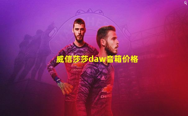 威信莎莎daw音箱价格