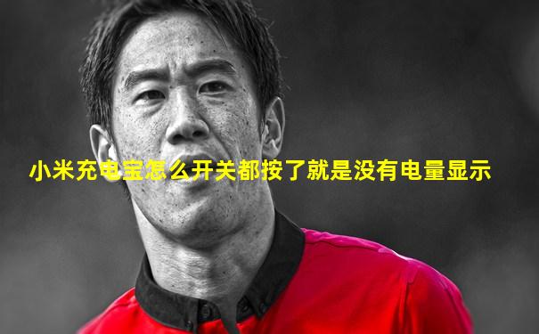 小米充电宝怎么开关都按了就是没有电量显示