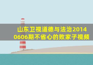 山东卫视道德与法治20140606期不省心的败家子视频