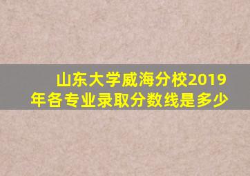 山东大学威海分校2019年各专业录取分数线是多少