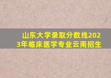 山东大学录取分数线2023年临床医学专业云南招生