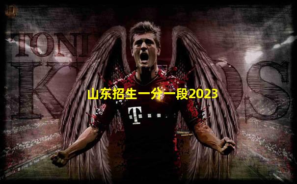 山东招生一分一段2023